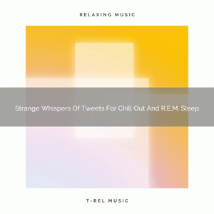 Now The City Composes Sweet Notes Dedicated To Your Quick Nap And Relax