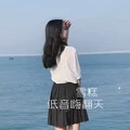 十三电音 (DJ咚鼓版)