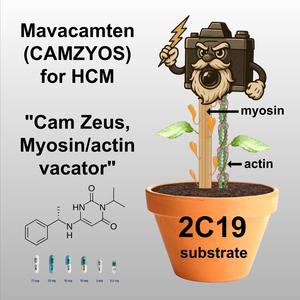 Mavacamten (Bossa Nova Version)