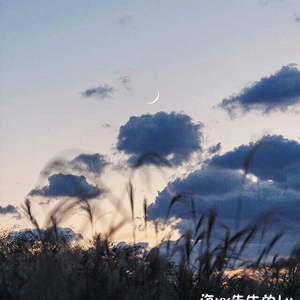 周三的情书（翻自 周三/蔡健雅）