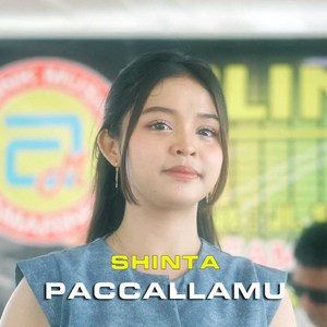 Paccallamu