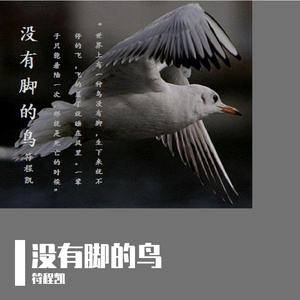没有脚的鸟