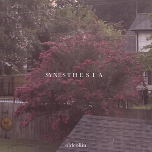 idwflt (feat. corefish)