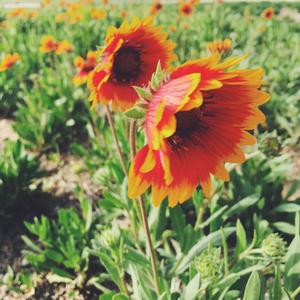 魏康路的星期六