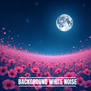 Rain on Quiet Stones