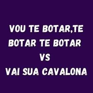VOU TE BOTAR,TE BOTAR TE BOTAR VS VAI SUA CAVALONA