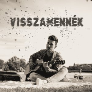 Visszamennék