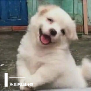 一念一生叹【双正太ver.】