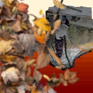 Leaves That Fall (Instrumental)