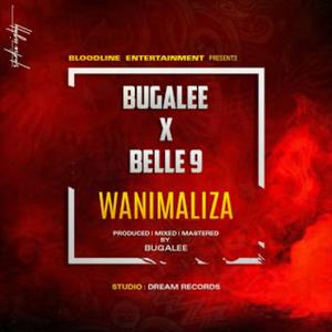 Wanimaliza (feat. Belle 9)