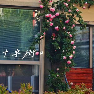 十字街口