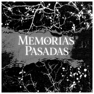 CAE LA NOCHE