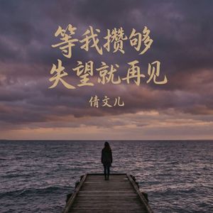 等我攒够失望就再见