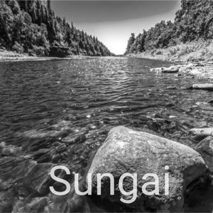 Suara Alam Gemricik Air Sungai