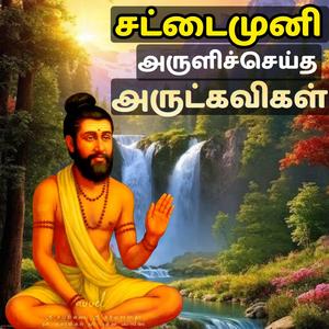 சட்டைமுனி அருளிச்செய்த அருட்கவிகள் Potri Om Namasivaya Siddhar Devotional Song
