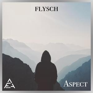 Aspect
