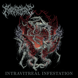Intravitreal Infestation