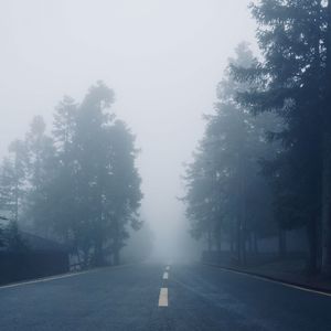 所有的一切都是真的（Demo）