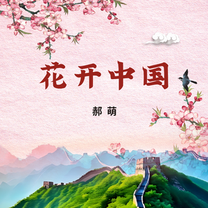 花开中国