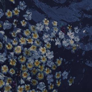 SAD!$WI ING WI ING（翻自 郑杰伦）