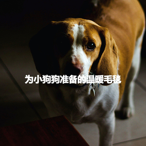 Contemporary Saxophone Jazz - Vibe for Everlasting Memories