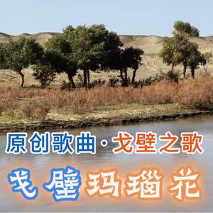 戈壁玛瑙花
