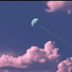 不是因为寂寞才想你