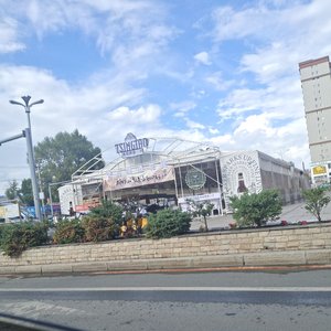 小霞-向云端dj（海洋Bo / 李奕然 remix）