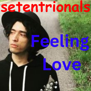 Feeling Love