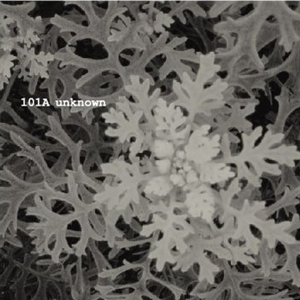 Come Down - Staring at the Sun mix.