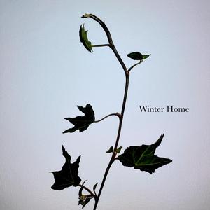 Winter Home