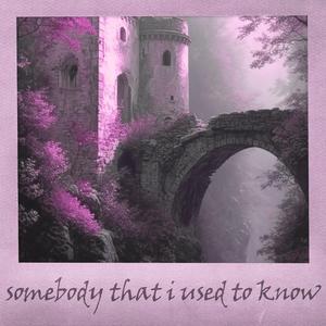 Somebody That I Used To Know (Piano Version - Slowed + Reverb)