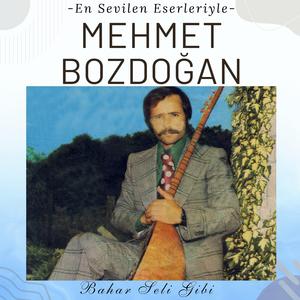 Damla Damla Aktı Yaşım