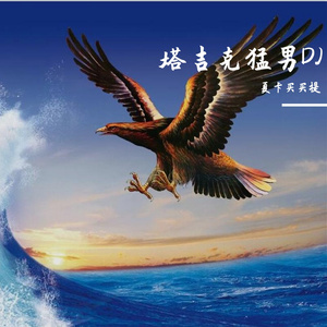 塔吉克车载MusicDJ