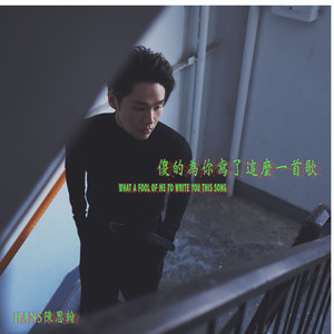 傻的为你写了这么一首歌