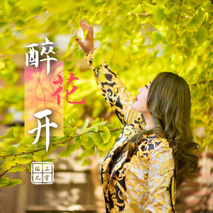 醉花开(DJ版)