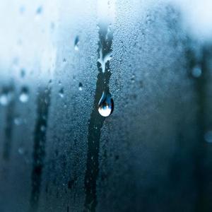 雨夜孤行