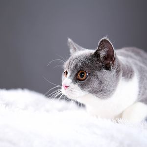 闪烁的繁星Prod.費奈爾蘭德