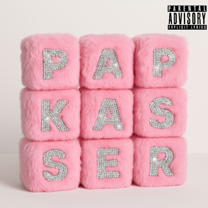 Papkasser