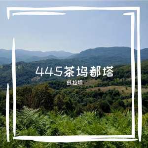 445茶坞都塔