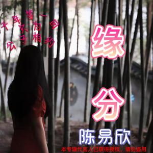 我来人间一场的经历