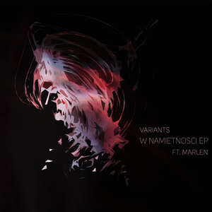W Namiętności (Fantek Remix)