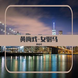 黄梅戏-女驸马 (经典版)