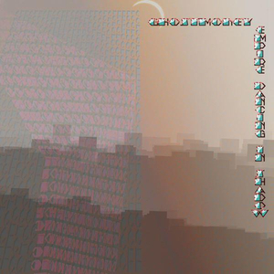 While You Were Distracted