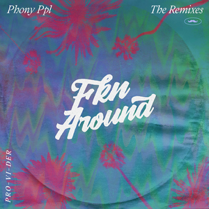 Fkn Around (PRO-VI-DER Remix)