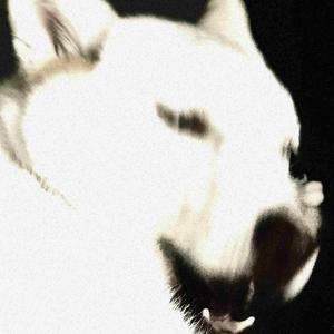 NOTHING (feat. Sandra Iris)