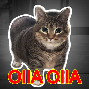OIIA OIIA