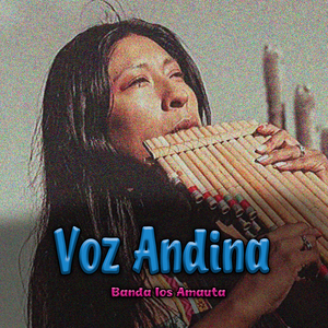 Voz Andina