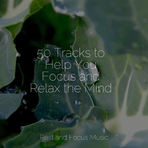 Smores by the Fireplace