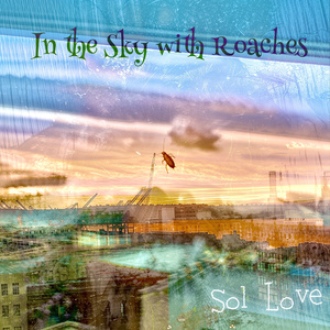 money birds roach dead